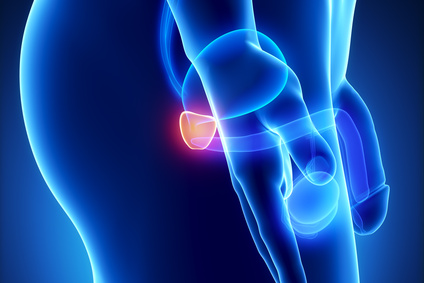 Male prostate anatomy lateral view Cancer de Prostata